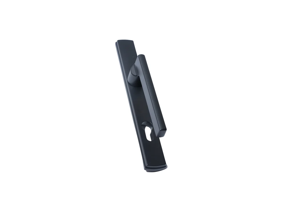 Black door lock handle set on a long backplate